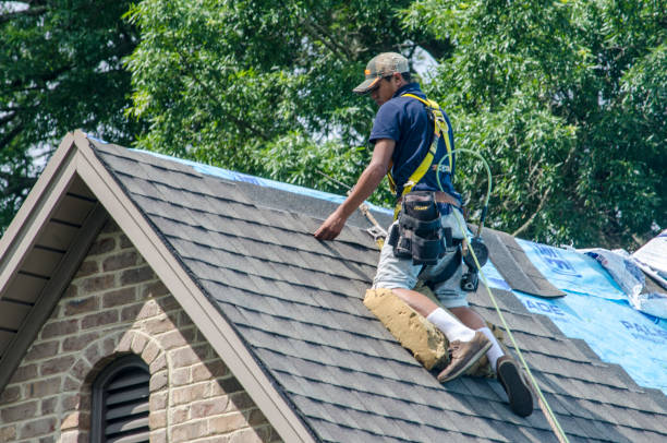 Best Roof Maintenance Services  in Hurley, WI